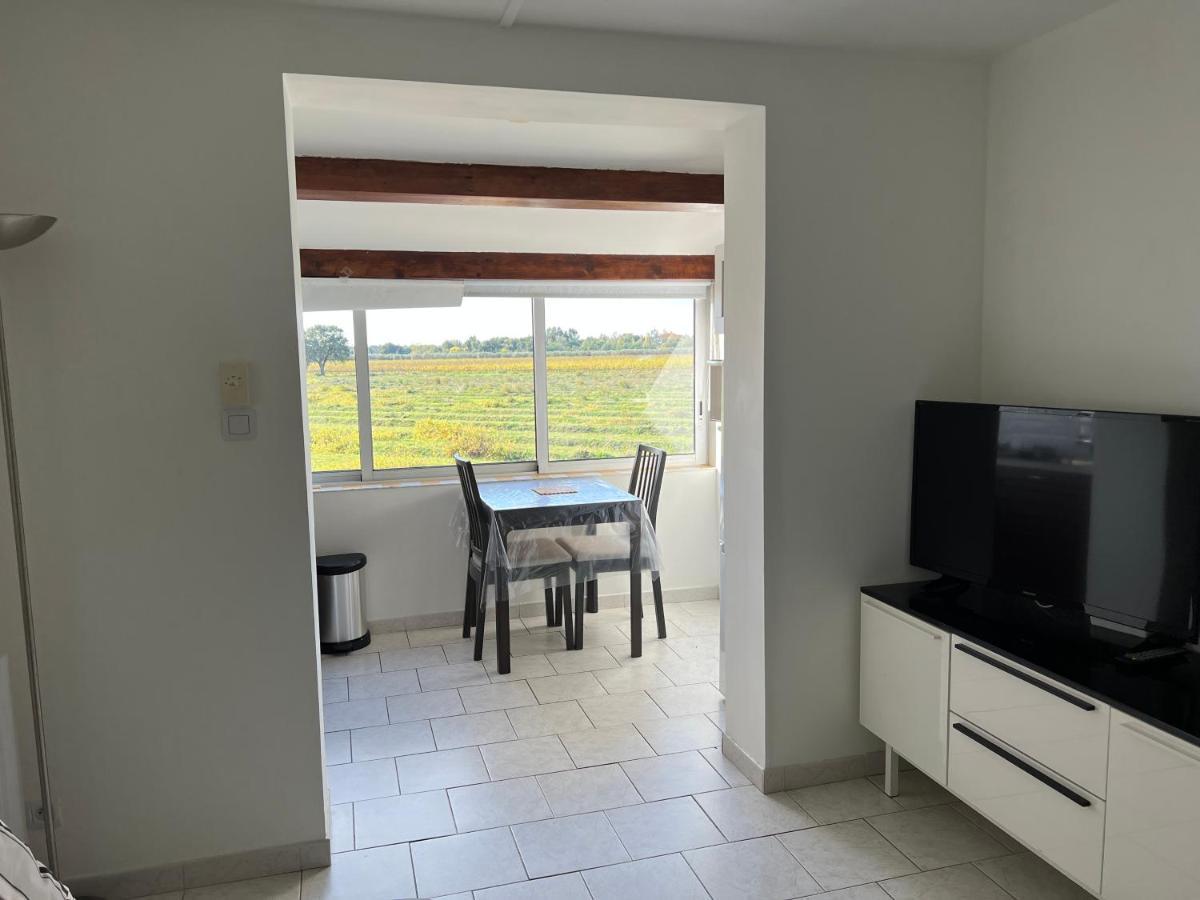 Joli Studio Tres Clair A Proximite Mer Pour 3 Personnes La Londe-les-Maures Kültér fotó