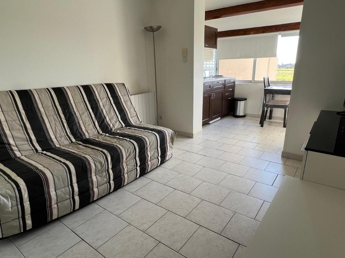 Joli Studio Tres Clair A Proximite Mer Pour 3 Personnes La Londe-les-Maures Kültér fotó