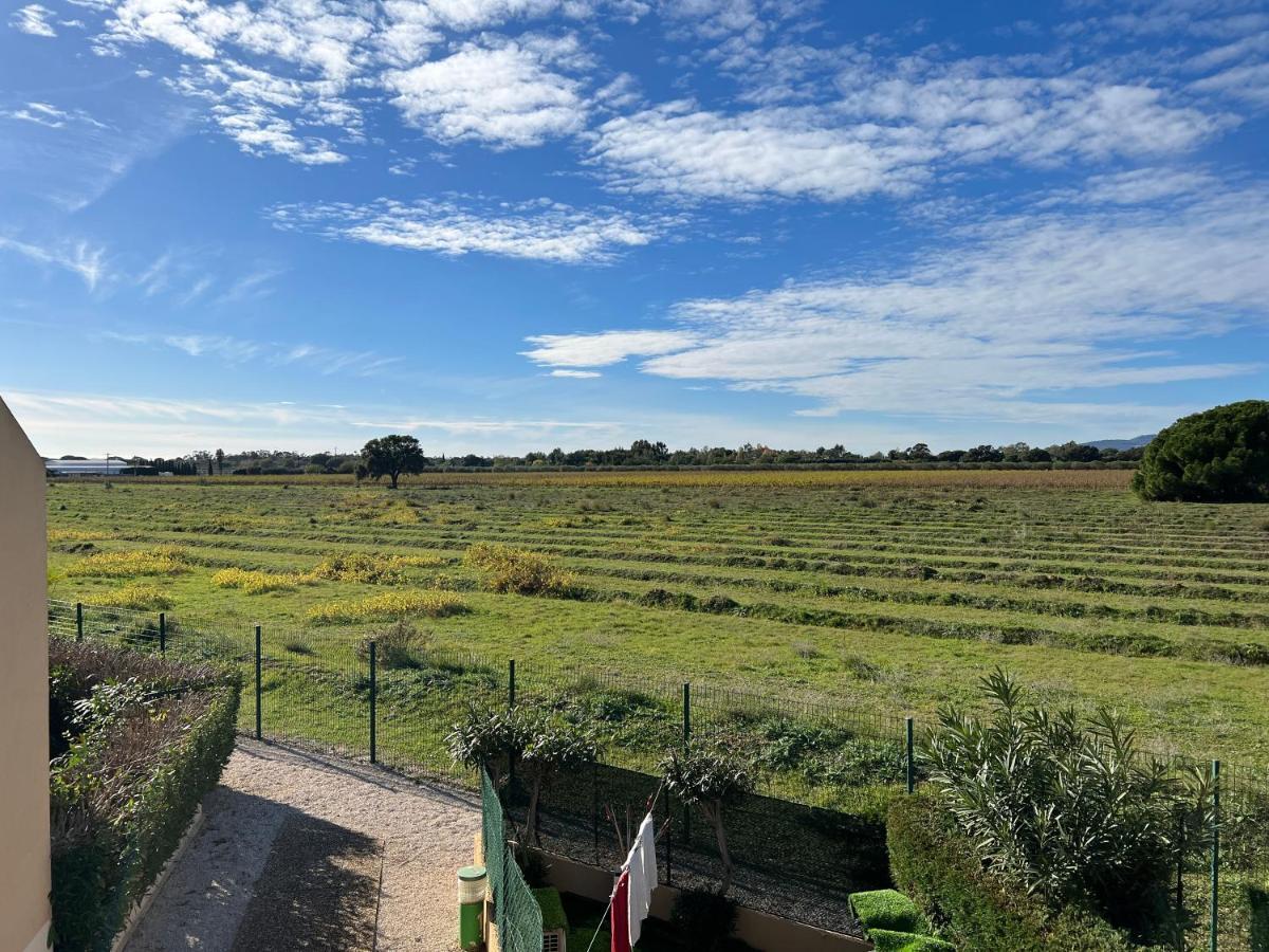 Joli Studio Tres Clair A Proximite Mer Pour 3 Personnes La Londe-les-Maures Kültér fotó