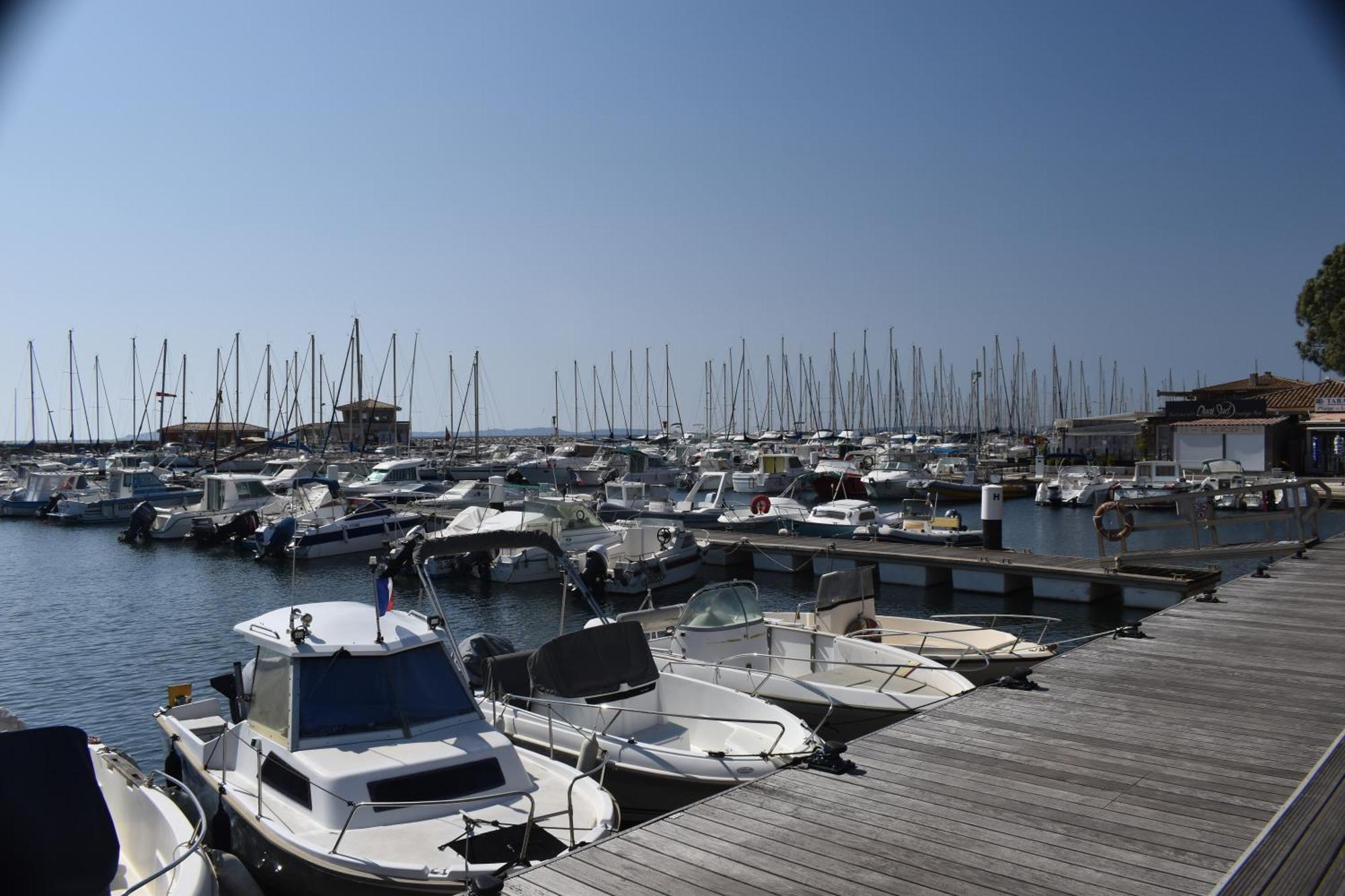 Joli Studio Tres Clair A Proximite Mer Pour 3 Personnes La Londe-les-Maures Kültér fotó