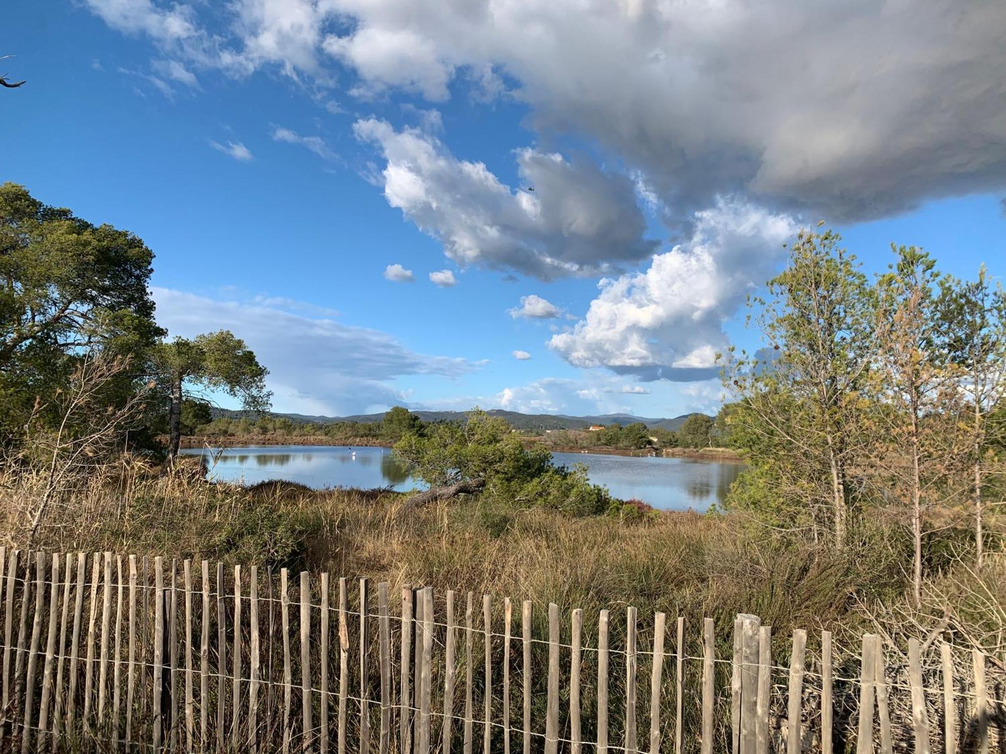 Joli Studio Tres Clair A Proximite Mer Pour 3 Personnes La Londe-les-Maures Kültér fotó