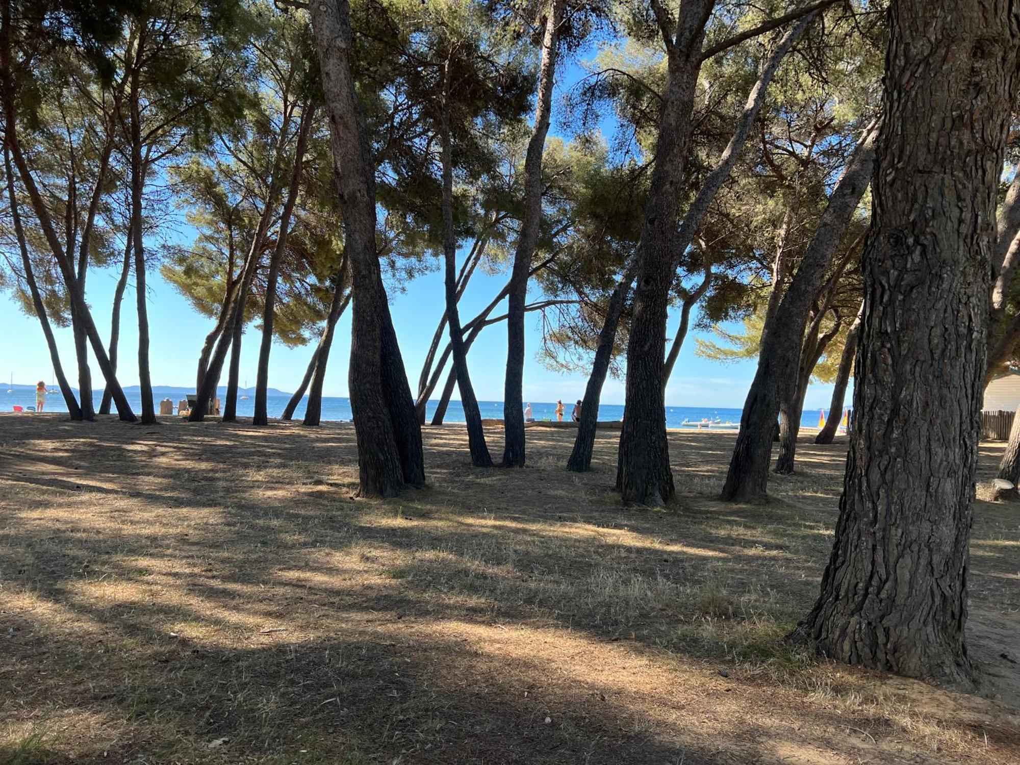Joli Studio Tres Clair A Proximite Mer Pour 3 Personnes La Londe-les-Maures Kültér fotó