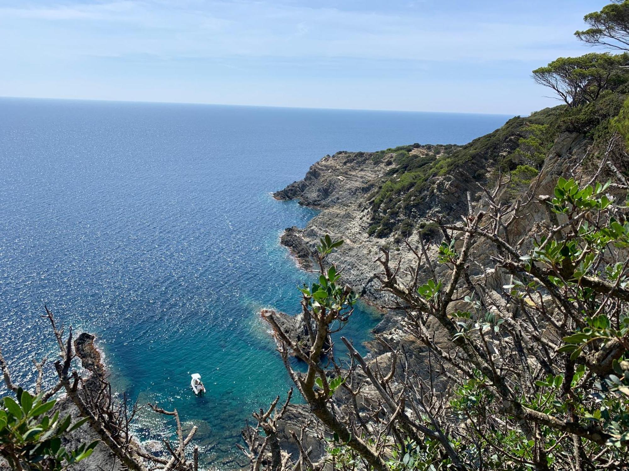 Joli Studio Tres Clair A Proximite Mer Pour 3 Personnes La Londe-les-Maures Kültér fotó