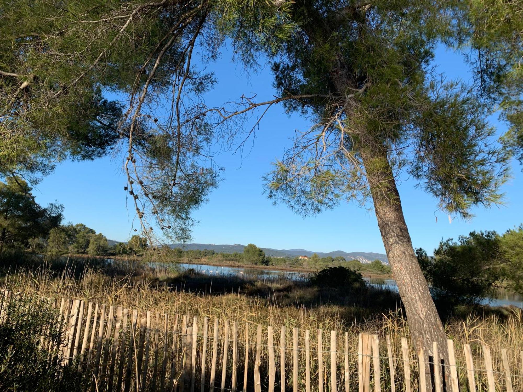Joli Studio Tres Clair A Proximite Mer Pour 3 Personnes La Londe-les-Maures Kültér fotó