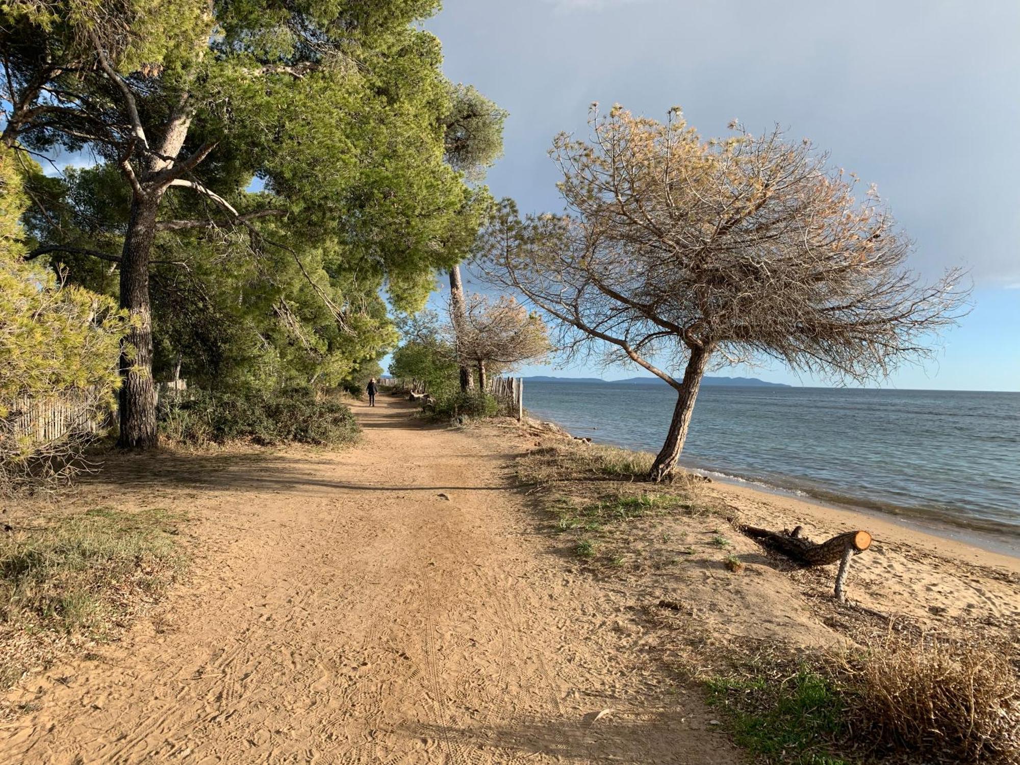 Joli Studio Tres Clair A Proximite Mer Pour 3 Personnes La Londe-les-Maures Kültér fotó
